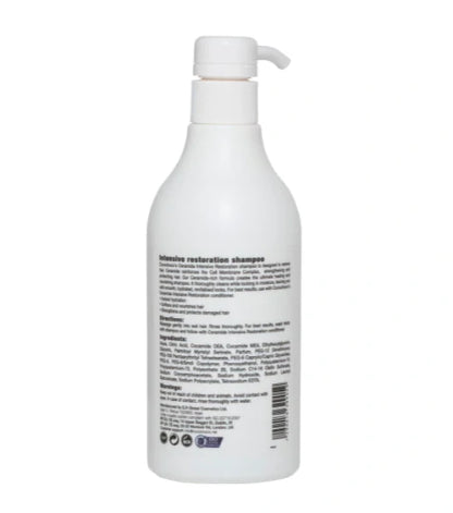shampoo for dry brittle hair cocochoco set